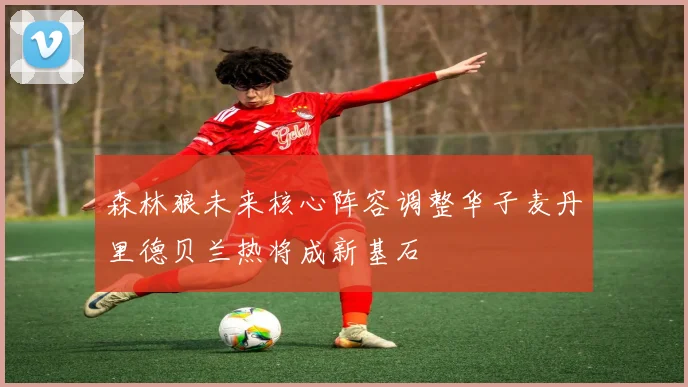 森林狼未来核心阵容调整华子麦丹里德贝兰热将成新基石